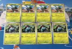 ポケモンカード　フシギダネ進化ライン