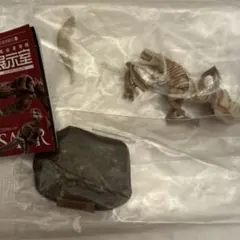 海洋堂　恐竜発掘記6 恐竜全身骨格展示室 プロトケラトプス　化石カラー　未開封