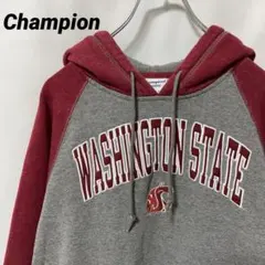 N-6064 Champion アメリカ古着 カレッジロゴスウェットパーカー L