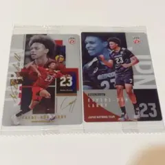 【エバデダン・ラリー】 男子バレーボール 日本代表 ツインウエハース 2026