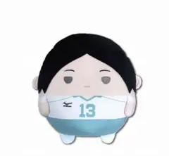 ハイキュー!! ふわコロりんBIG 国見 英
