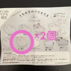 正規品 うちの子けだまだま 柴犬2個セット