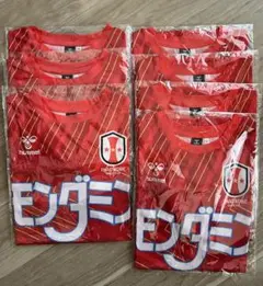 【まとめ売り】INAC神戸レオネッサ 田中陽子 ユニホーム2着＋グッズ まとめ売り】INAC神戸レオネッサ 田中陽子 ユニホーム2着＋