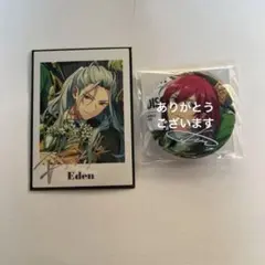 あんスタ TRIP ぱしゃっつ 缶バッジ