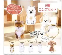 コンプ　わんこのタイムカプセル 　全5種セット　いぬ　犬