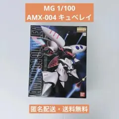 完成品 ガンプラ MG キュベレイ イリア・パゾム専用機 - メルカリ