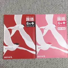 四谷大塚 予習シリーズ 国語 6年 下 難関校対策 解答と解説 - メルカリ
