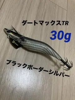 2026年最新】ダートマックスtr30 パープルボーダーパープルの人気