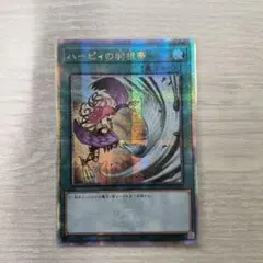 2025年最新】ハーピィの羽根帚 25の人気アイテム - メルカリ