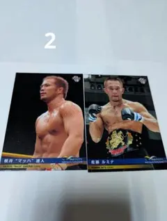 2026年最新】格闘技カードの人気アイテム - メルカリ
