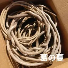 2026年最新】蔓リースの人気アイテム - メルカリ