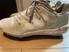 Item thumbnail for item 01860a7e-cbbe-4d1d-bbaf-dd3f380f1e27