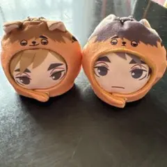 ハイキュー!! あにずきん 宮侑 宮治