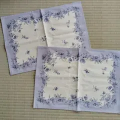 Item thumbnail for item 9ba879f1-12af-481e-a6e7-04e7feedc235