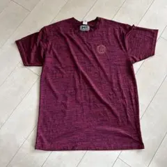 Item thumbnail for item a3c0d4b6-9954-47f9-966d-1a173fc869be