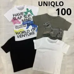 Item thumbnail for item cfd44ec5-c702-4575-9a74-967389e5604b