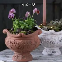 2026年最新】ロココ調 プランターの人気アイテム - メルカリ