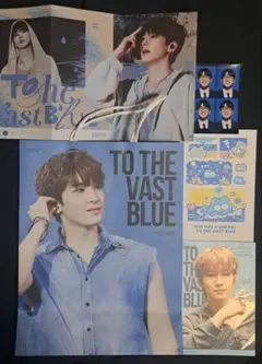 SEVENTEEN セブチ ウォヌ トレカ まとめ売り - メルカリ