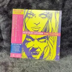 fang plastique/ thejon spencer blues exp