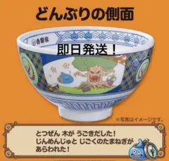 吉野家 コラボ どんぶり ドラクエウォークコラボセット メラミン製丼並
