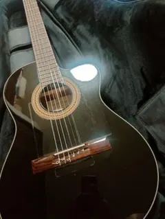 Ibanez エレガット エレガットギター アイバニーズ