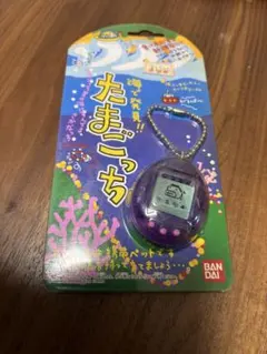 【動作確認済み】海で発見!!　たまごっち　スケルトンパープル　その5