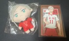 ハイキュー!! 灰羽リエーフ 4点まとめ
