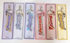 めておら　刺繍ネームタグキーホルダー　オーロラチャーム　セット