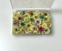 Item thumbnail for item 19449f7a-4b9b-4dea-911e-7ca44b793805