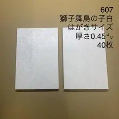 607 和紙　獅子舞鳥の子白　 はがきサイズ　厚さ0.45㍉　40枚