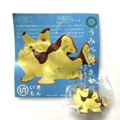 【新品】ネイチャーテクニカラー クマドリカエルアンコウ マグネット