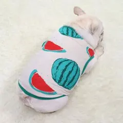 犬服　ペット服　タンクトップ　トイプードル　チワワ　シュナウザー　マルチーズ 犬服 ペット服 タンクトップ トイプードル チワワ シュナウザー