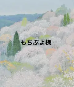 もちぷよ様　専用