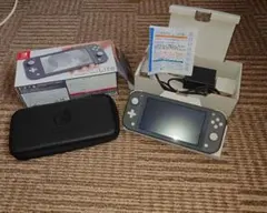 Nintendo Switch Lite グレー 収納ケース付き