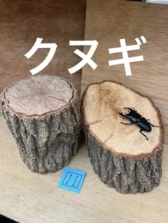 木製昆虫止まり木・シェルター 2026年最新】昆虫用止まり木・インセクトシェルターの人気アイテム