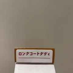 Item thumbnail for item 13a534ca-a92f-4e96-8e62-b98b2e7747dc