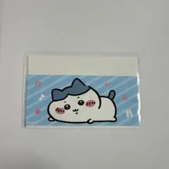 ちいかわ マイナンバーカードケース ハチワレ