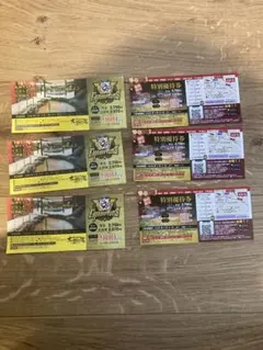 太閤の湯　特別割引券 6枚セット