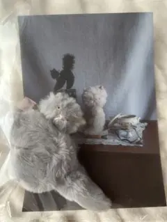 さて ぬいぐるみ