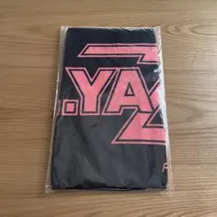 Item thumbnail for item 6e887d48-8e45-4183-87e0-a0dd5adce575