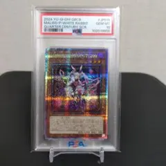 2025年最新】White Rabbit 25 psa10の人気アイテム - メルカリ
