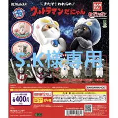 S.K様専用 ウルトラマンだにゃん フィギュア