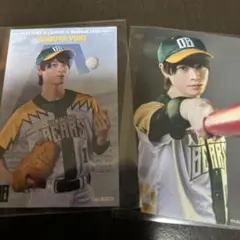 Item thumbnail for item 1abb1f1a-e4af-4306-84a6-e6af90205f08