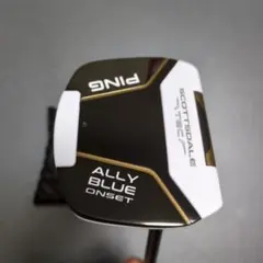 2026年最新】PING Scottsdale TEC Ally Blue H パターの人気アイテム