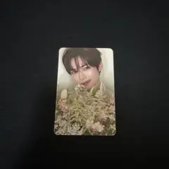 zb1 ハンビン トレカ RE-FLOW 花束