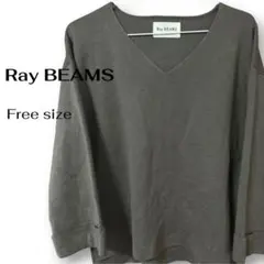 Ray BEAMS Vネック ニット トップス フリーサイズ グレー