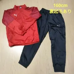 Puma ピステ上下セット 赤/黒　160cm