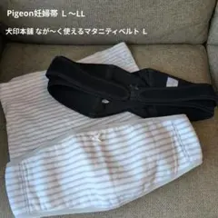 Item thumbnail for item cc586041-c322-471f-856a-1f420529e50a