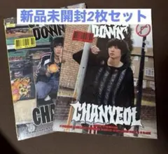 UP SIDE DOWN チャニョル　新品セット