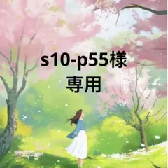 s10-p55様専用